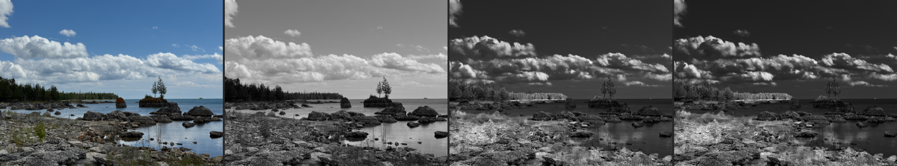 A lakeshore: the sky darkens and the far tree line glows, the water goes dark under both infrared pairs