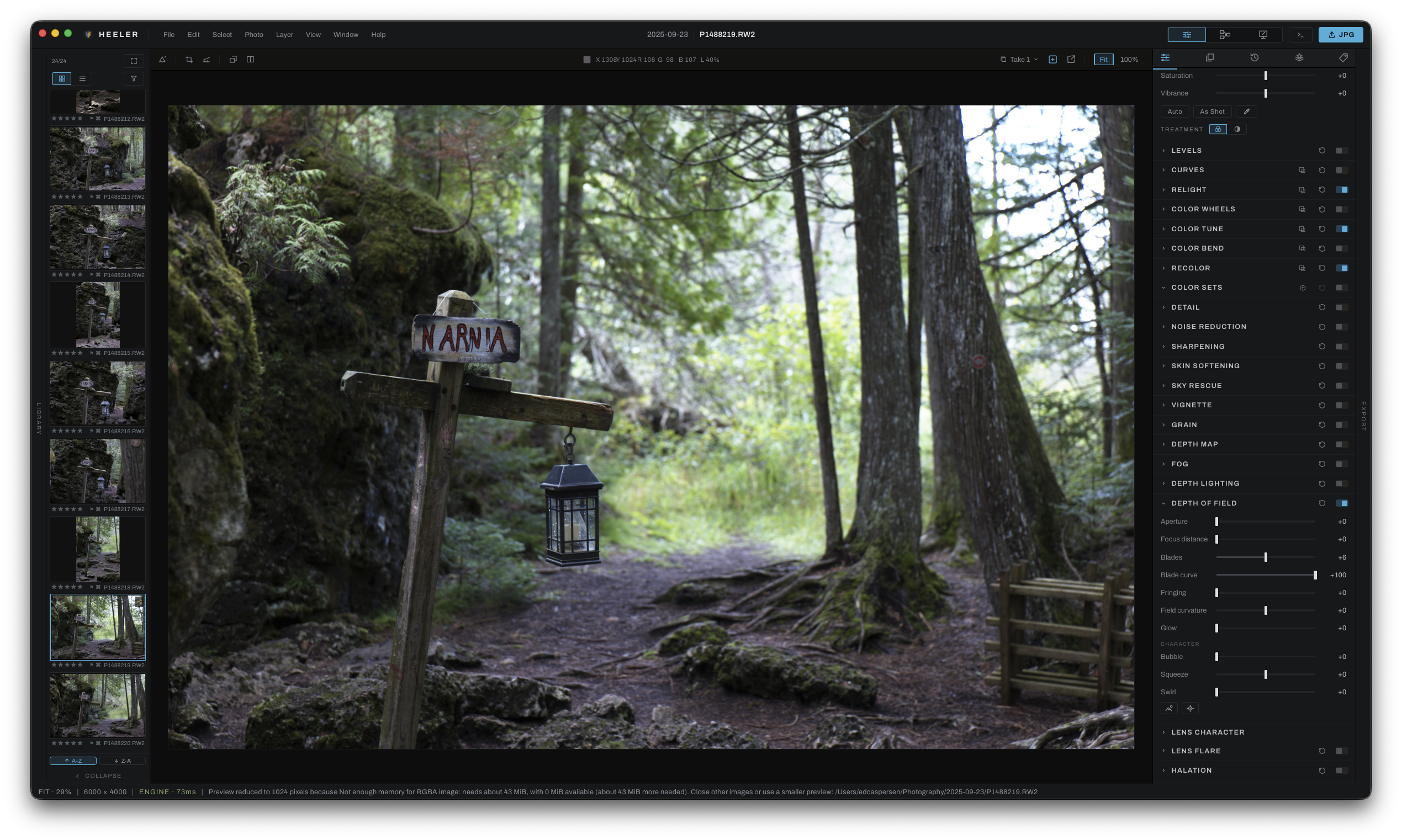 A woodland path with a wooden Narnia sign and hanging lantern, before the depth-based variations shown here.