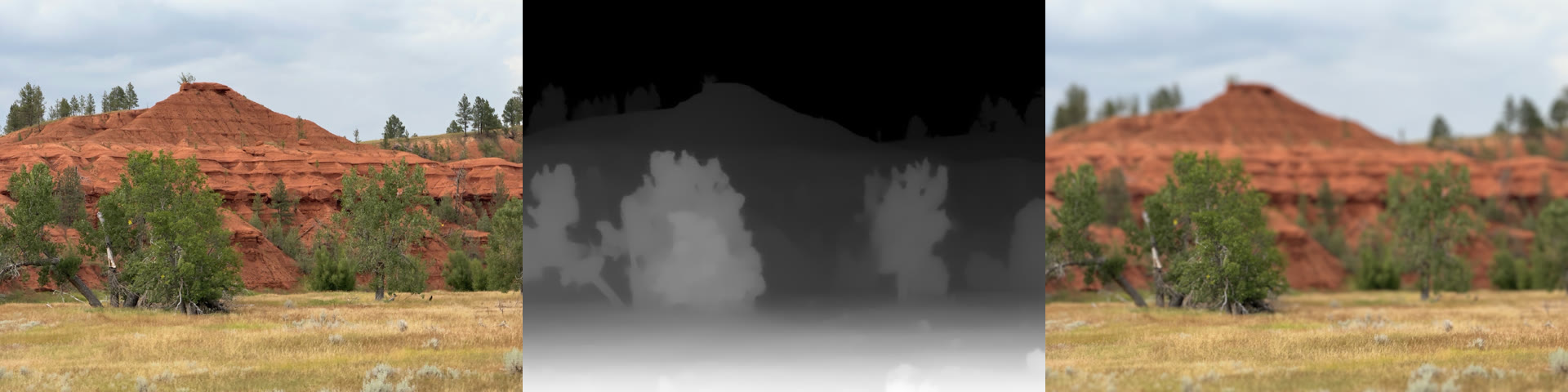 A red hill behind cottonwoods, its depth map, and the trees held sharp while the hill and the grass fall off by distance.